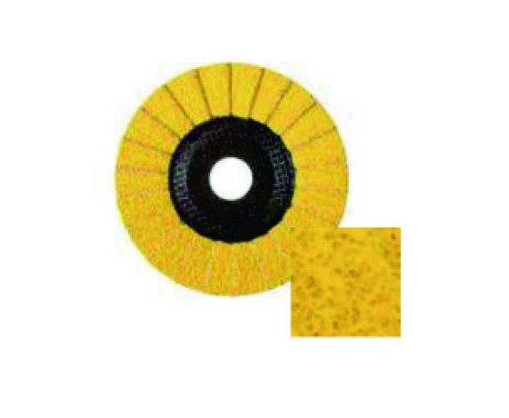 HCET Coated Ceramic Flap Discs