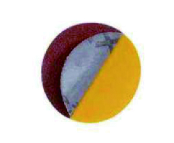 Adhesive Backed Rotary Discs (HJXZ)
